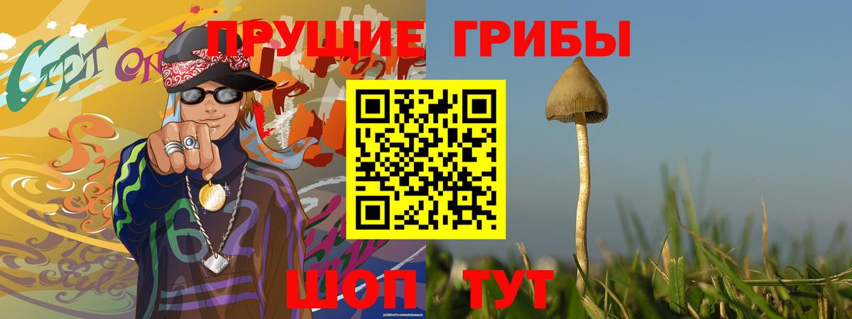 Псилоцибиновые грибы Cubensis Шумерля